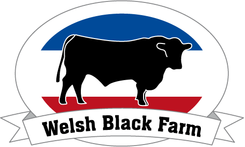 WelshBlackFarm | www.welshblackfarm.de
